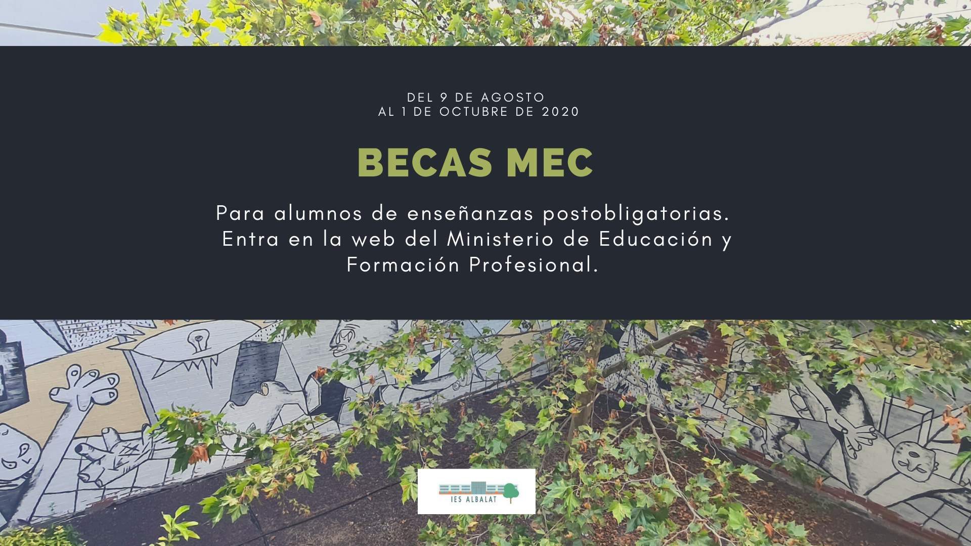 Becas MECweb